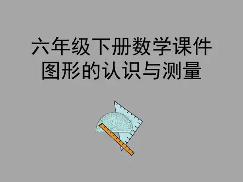 六年级下册数学课件 图形的认识与测量 复习