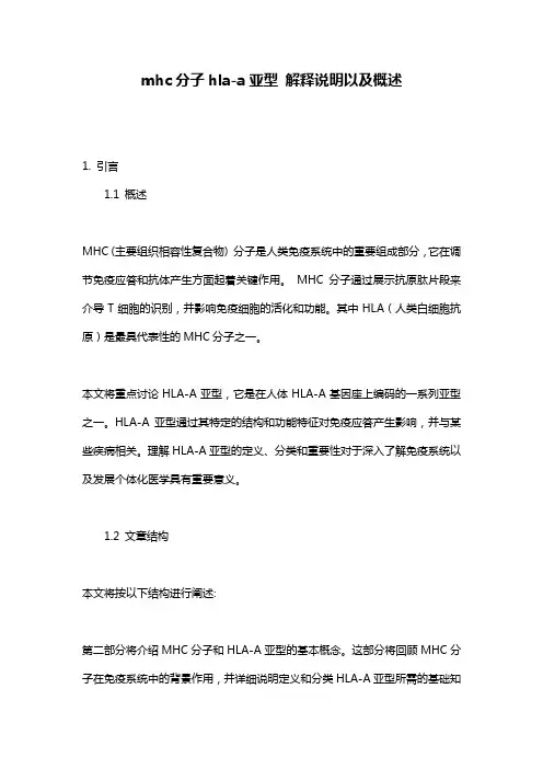 mhc分子hla-a亚型_解释说明以及概述