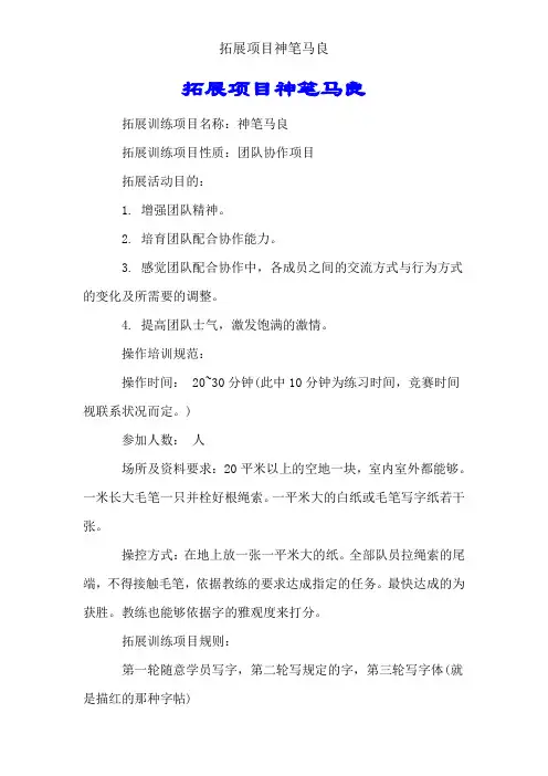 拓展项目神笔马良
