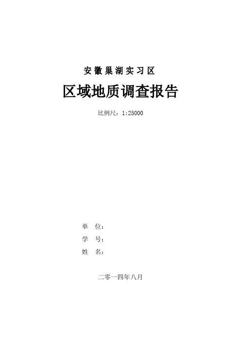 巢湖实习报告