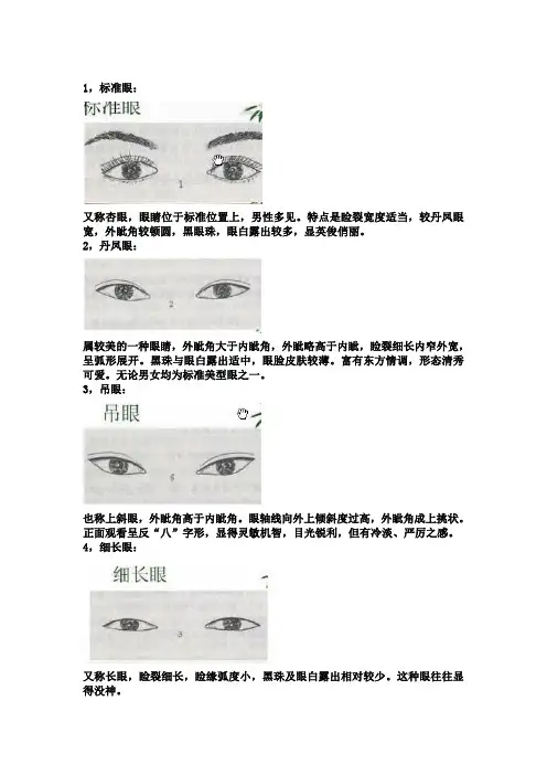眼睛的种类及其特点