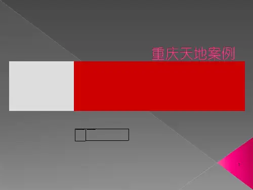 重庆天地案例研究