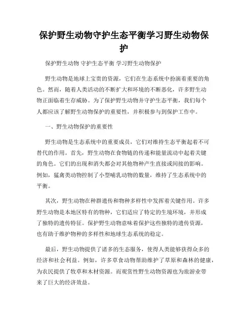 保护野生动物守护生态平衡学习野生动物保护