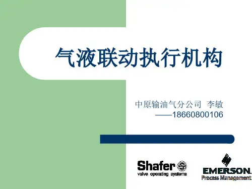 SHAFER气液联动执行机构培训