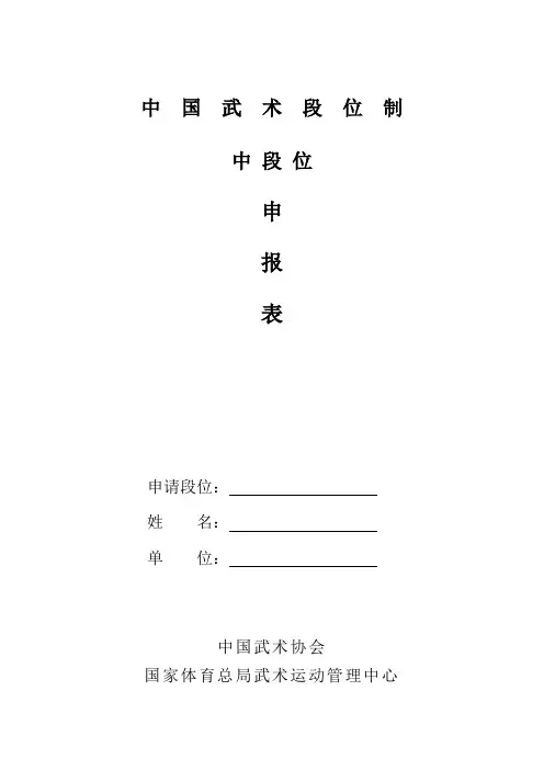 中段位申报表