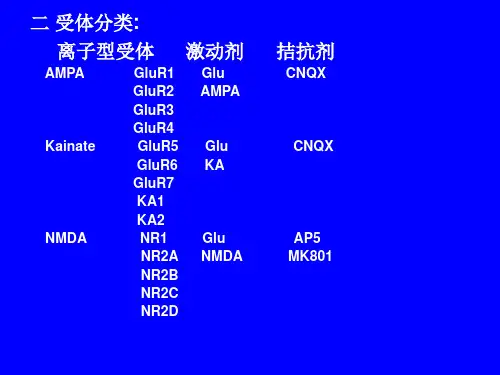 谷氨酸受体神经生物学