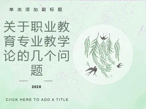 职业教育专业教学论