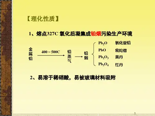 铅中毒PPT医学课件.ppt