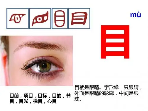 与目有关汉字的字源(51张PPT)