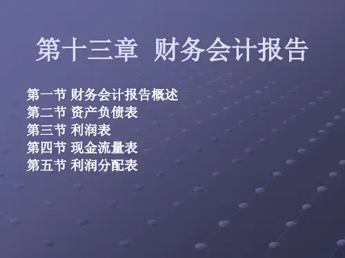 第九章会计报表