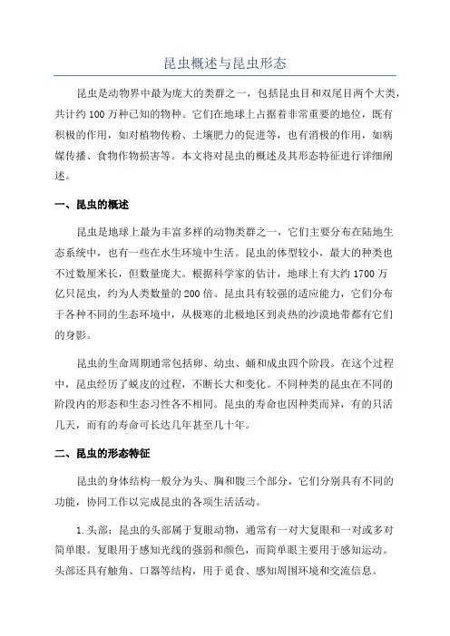 昆虫概述与昆虫形态
