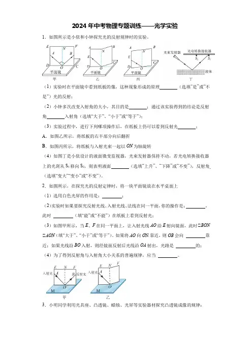 2024年中考物理专题训练——光学实验(解析版)