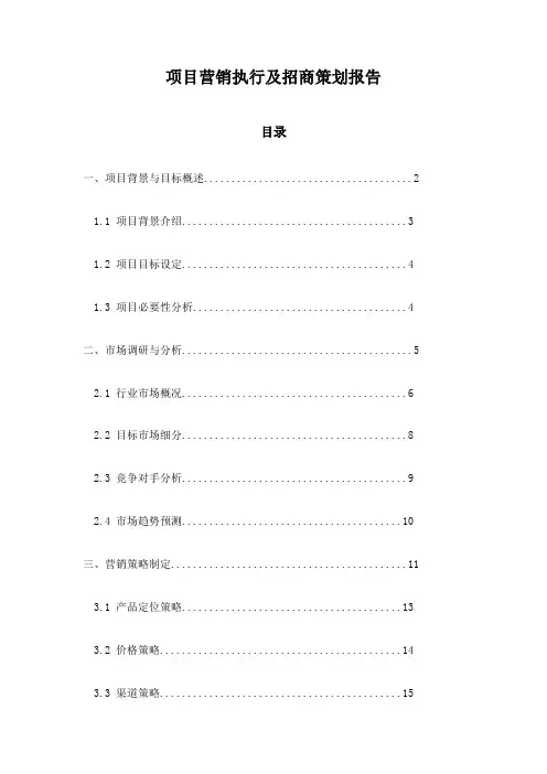 项目营销执行及招商策划报告