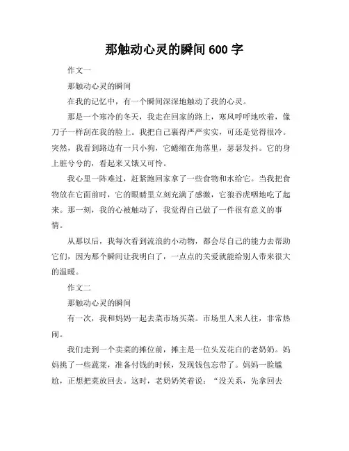 那触动心灵的瞬间600字
