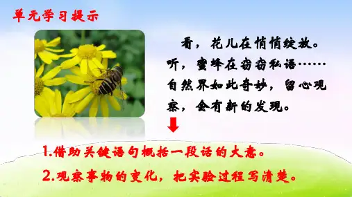 部编版花钟教学课件-PPT1