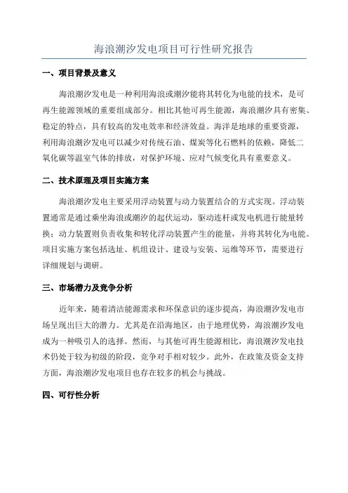 海浪潮汐发电项目可行性研究报告