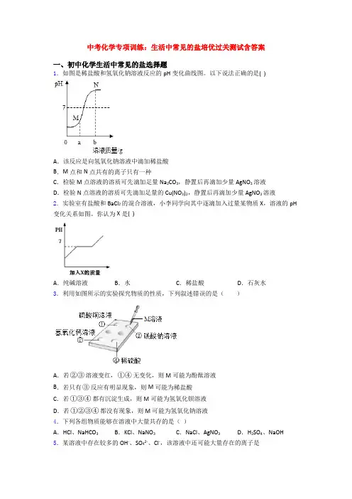 中考化学专项训练:生活中常见的盐培优过关测试含答案