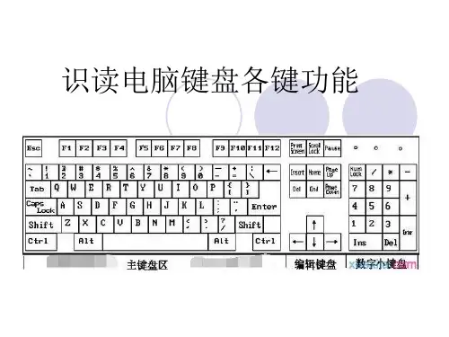 识读电脑键盘各键功能PPT