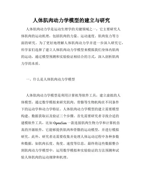人体肌肉动力学模型的建立与研究