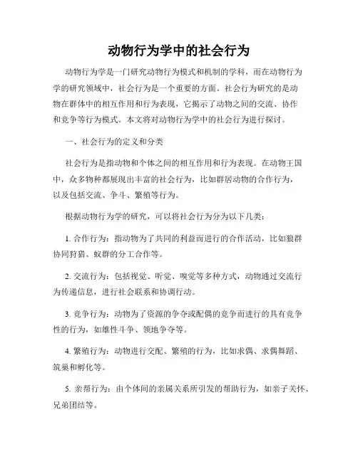 动物行为学中的社会行为