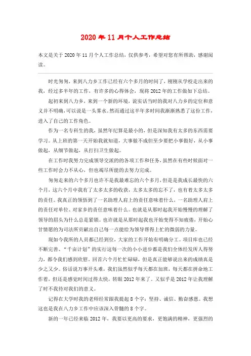 2020年11月个人工作总结