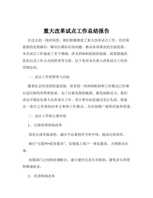重大改革试点工作总结报告