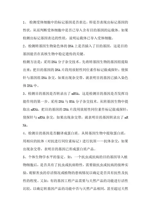 分子杂交技术(精)