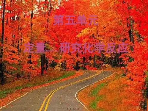 九年级化学下册《第五单元 定量研究化学反应》复习课件 