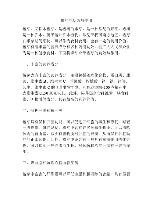 椿芽的功效与作用