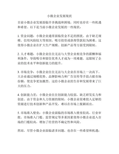小微企业发展现状