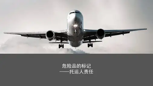 民航运输危险品标记标签—危险品的标记