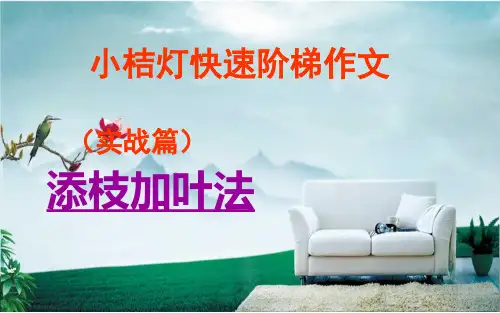 小桔灯快速阶梯作文全套ppt课件(实战篇)