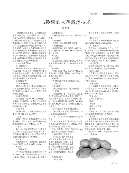 马铃薯的大垄栽培技术
