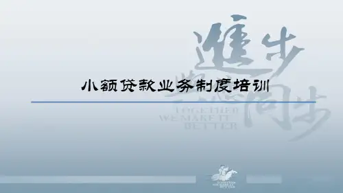 银行小额贷款业务制度培训课件