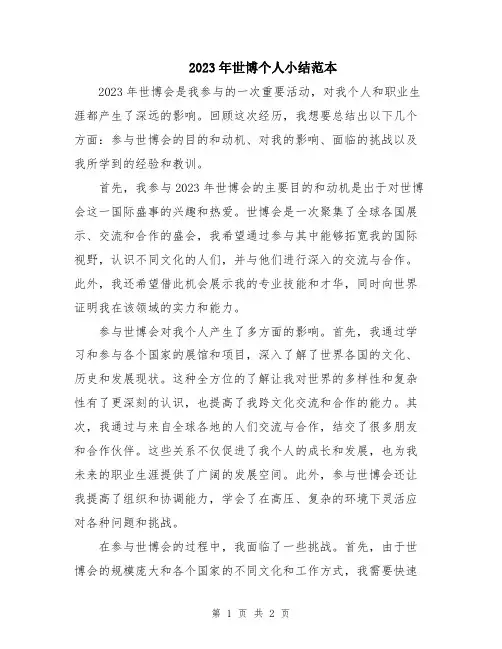 2023年世博个人小结范本