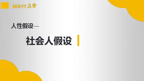 组织行为学：1-5人性假设—社会人假设
