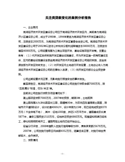 关注类贷款变化的案例分析报告