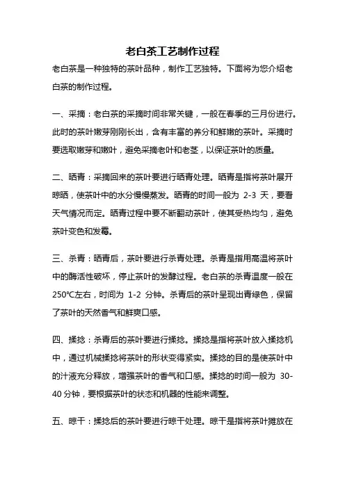 老白茶工艺制作过程