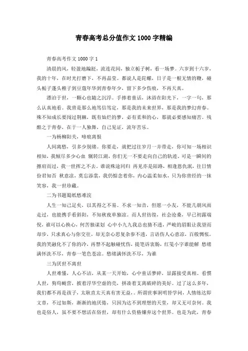 青春高考满分作文1000字精编