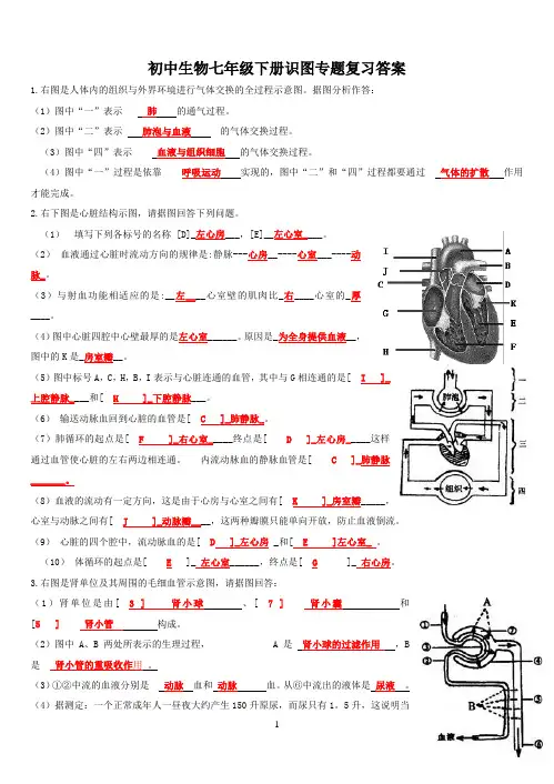 初中生物七年级下册识图专题复习答案B5
