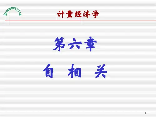 计量经济学ppt课件  自相关