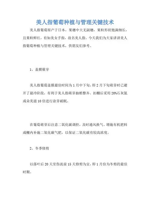 美人指葡萄种植与管理关键技术