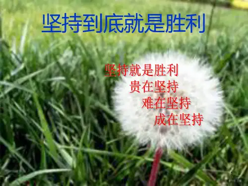 2213班主题班会――坚持到底就是胜利PPT课件