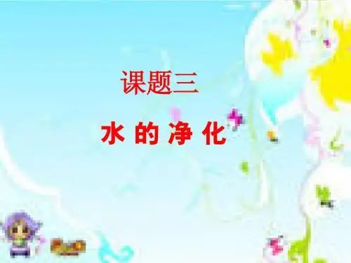水的净化及爱护水资源