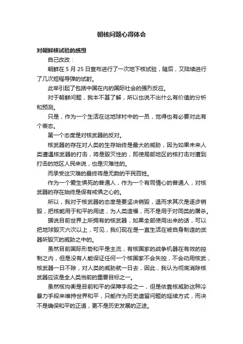 朝核问题心得体会