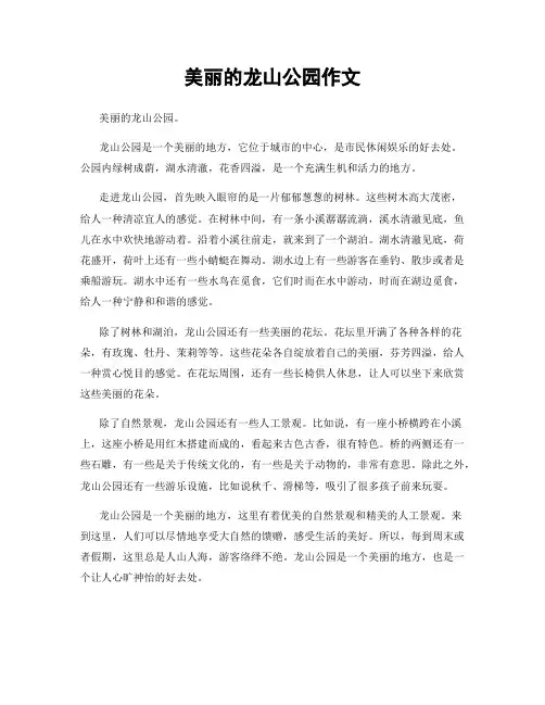 美丽的龙山公园作文
