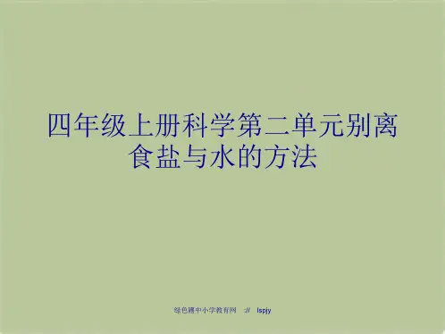 四年级上册科学第二单元分离食盐与水的方法(共8张PPT)