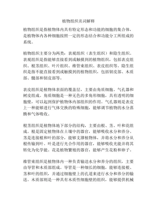 植物组织名词解释