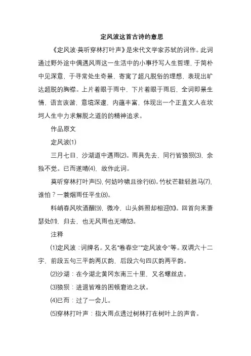 定风波这首古诗的意思