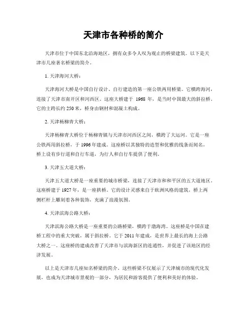 天津市各种桥的简介
